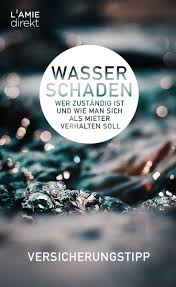 Wasserschaden Was Tun Eine Praktische Checklist Wasserschaden Versicherung Kfz Versicherung