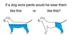 Dog Pants Should Have Four Legs An Argument From Linguistics The Atlantic