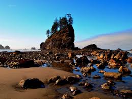 four impressive tide pool beaches on the olympic peninsula