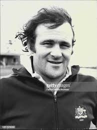 22 Pic Of Cocks Stock Photos, High-Res Pictures, and Images