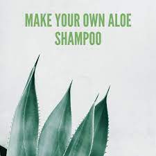 · to avoid high cost of specialized hair loss treatments. Aloe Vera Shampoo Recipe Make Your Own Aloe Shampoo Bellatory