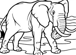 6.1 belajar mewarnai gambar gajah. Contoh Gambar Belajar Mewarnai Gajah Kataucap
