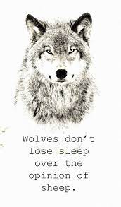Wolves Don T Concern Themselves With The Opinion Of Sheep Wolf Quotes Lone Wolf Quotes Warrior Quotes