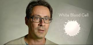 Laboratory-grown Blood Cells: Transfusion of the Future