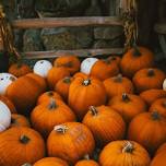 Halloween at the Museum