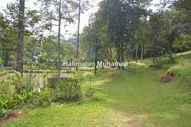 66, 659 kp @ 1.53 ekar. Tanah Kebun Batu 22 Kuala Pangsun Hulu Langat Agricultural Land For Sale In Hulu Langat Selangor Iproperty Com My