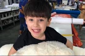 Caso Henry Borel: Jairinho interrompe juíza e indica o próprio filho como advogado de defesa