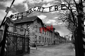 Tra le testimonianze più famose ci sono le frasi di anna frank e le riflessioni di primo levi. Il Giorno Della Memoria 27 Gennaio 2020 In Ricordo Della Shoah Televideo Himera