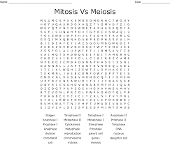 Maybe you would like to learn more about one of these? Meiosis Word Search Wordmint