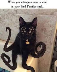 Food treats make a useful distraction. I Found A Picture Of Khoshekh Nightvale