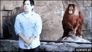 Weitere ideen zu lustig, gifs, gif bilder lustig. Lustige Tiere Offtopic Seite 3