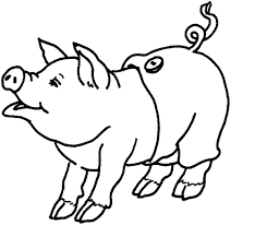 These pictures show you about the pig. Free Printable Pig Coloring Pages For Kids Animal Place
