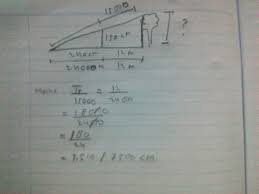 Coba kalian amati gambar di bawah ini. Tentukan Tinggi Pohon Pada Gambar Di Bawah Ini Brainly Co Id