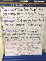 3rd Grade Science Chart Producers Consumers And Decomposers Science Anchor Charts Fourth Grade Science Decomposers Science