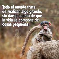 Imagen relacionada