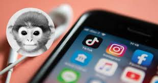Tiktok is the video app that has taken the world by storm. The Monkey Pfp On Tiktok Is Something You Want To Avoid At All Costs