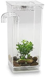 They exist and can be a good solution if you are too busy for the aquarium routine. Amazon Com As Seen On Tv 56028 My Fun Fish Tank 4 3 4 X 6 X 10 Inch Pet Supplies