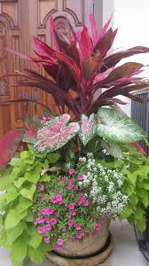 Tropical Planters I Made Container Gardening Flowers Patio Container Gardening Container Garden Design