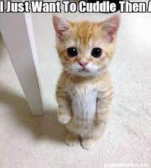 Meme Creator Funny I Just Want To Cuddle Then Attack Your Feet Meme Generator At Memecreator Org