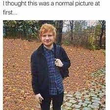 No, not full body shots of him running down st albans high street with nothing but a tea. Ed Sheeran Meme
