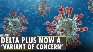 What you need to know about the delta plus variant the delta plus coronavirus mutation is 'variant of concern,' but health officials say there's no cause to panic by jeff parrott jun 24, 2021, 10:00pm mdt Experts Delta Plus Variant Could Trigger 3rd Wave Covid 19 Latest World English News Wion Youtube