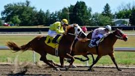 Opening Day Quarter Horse Races
