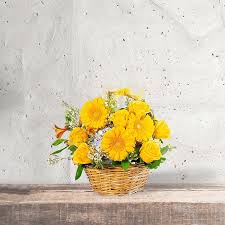 Image result for Sunglow Yellow 2017 City Express