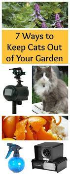 8 Natural Ways To Keep Cats Out Of Your Garden Garden Pests Veggie Garden Brown Thumb