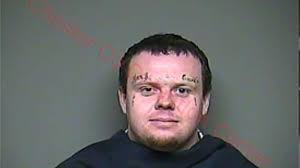 Chester SC man pleads guilty to burning kittens