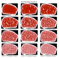 Beef Grades Chart I Love Bello Shire