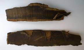 Image result for Zanthoxylum usambarense