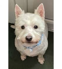 ❤️WALTER HAS BEEN FOUND ❤️