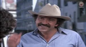 He was the son of mexican movie star pedro armendáriz and actress carmelita pardo. Columbo 1971