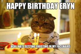 Happy Birthday Eryn Ugh I Hate Getting Frosting In My Facehairs Birthday Cat Quickmeme
