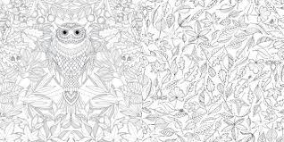 Johanna basford ist illustratorin und besitzt ein kleines designstudio in dundee. Mein Verzauberter Garten Eine Schatzsuche Basford Johanna 9783868735994 Amazon Com Books