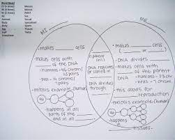 Mitosis And Meiosis Google Search Teaching Biology Science Cells Biology Classroom