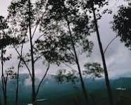 Image of Caravan Stay, Kodaikanal