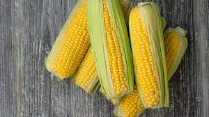 Check spelling or type a new query. 10 Manfaat Nasi Jagung Untuk Kesehatan Cocok Untuk Diet Hot Liputan6 Com