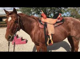 western saddle fit video