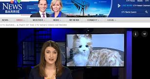 Plus, live breaking news and more from ctvnews.ca. Ctv News Barrie Visits Dufferin Oaks Long Term Care Home Here S The Link In Case You Missed It The Shelburne Freelancer