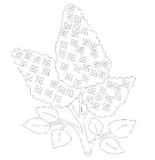 Find and save images from the desene in creion collection by trutucasiana (trutucasiana) on we heart it, your everyday app to get lost in what you love. Desene De Colorat Cu Flori Desene De Colorat Ideas In 2021