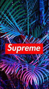 14 Supreme The North Face Wallpaper Ideas Supreme Wallpaper Wallpaper Hypebeast Wallpaper