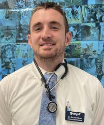 Meet the Anesthesia Team • MSPCA-Angell