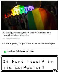 Therefore, it makes for funny memes. It Hurt Itself In It S Confusion 9gag