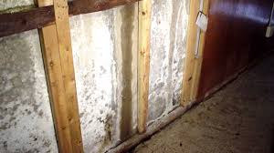 How to remove efflorescence from basement walls. Efflorescence In The Basement Causes And Solutions Ask The Expert Lowcountry Basement Systems Youtube