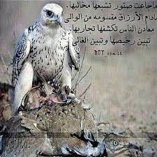 pin by cockerq on عشق البداوة dream wedding animals wedding