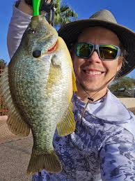 Catching Snook Fish in SWFL