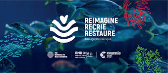 Você só pode participar através deste formulário. Dia Mundial Do Meio Ambiente Programacao No Brasil