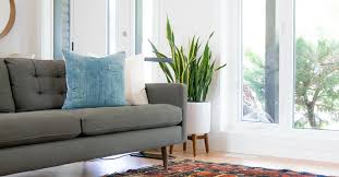 نتیجه جستجوی لغت [uncluttered] در گوگل
