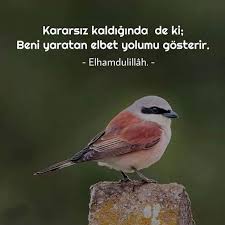resimli dini sozler sayfa 6 11 webtoz inanc sozleri maneviyat dualar